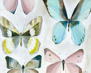 40x50 Butterflies