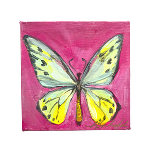Butterfly 6x6