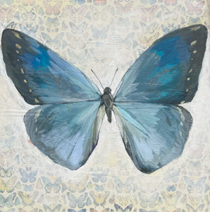 30x30 Blue Butterfly Original