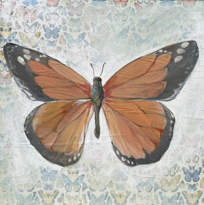 30x30 Orange Butterfly Original