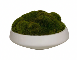 Newport Bowl with Moss