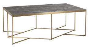 Brass and Shagreen Coffee Table